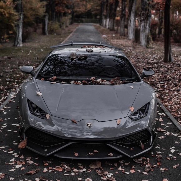 Meet your Posher, Bryce - Picture 1 of 1